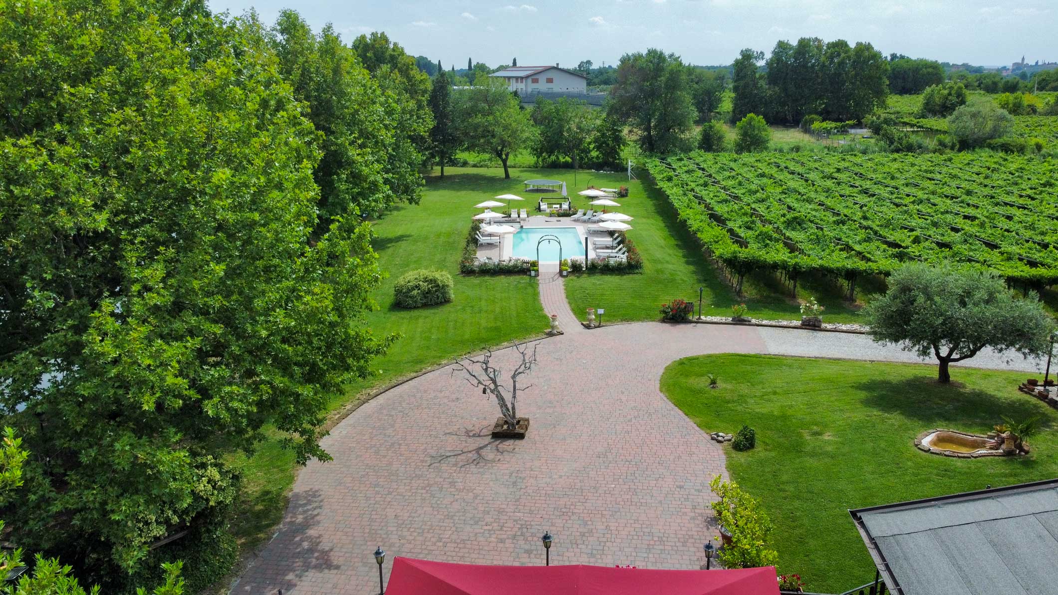 dji_fly_20260616_152640_990_1781616732730_photo_optimized.jpg
