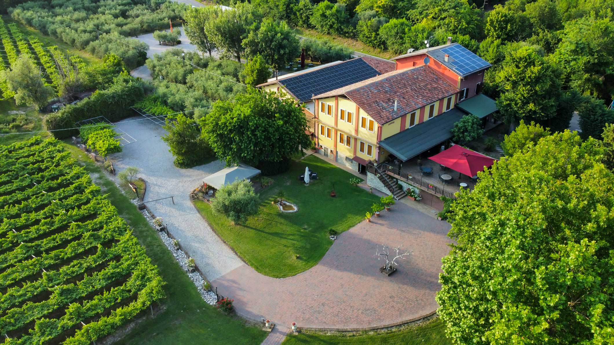 dji_fly_20260615_194512_977_1781545519086_photo_optimized.jpg